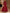 Solid Color Round Neck With Sequin And Satin Paneling Maxi Dress