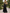 Gold Sequin Bell Sleeve Black Satin A-Line Maxi Dress