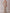 Nude Off Shoulder Fringe Pearl Rhinestone Beaded Evening Gown