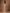 Champagne Colored Pearl Beaded Mermaid Evening Gown