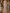 Champagne Heavy Beaded Spaghetti Strap Pearl Embellished Mermaid Maxi Dress