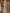 Champagne Heavy Beaded Spaghetti Strap Pearl Embellished Mermaid Maxi Dress