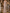 Champagne Heavy Beaded Spaghetti Strap Pearl Embellished Mermaid Maxi Dress