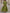 Solid Color Satin V-Neck Maxi Dress