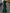 Round Neck Flutter Tulle Sleeve Mermaid Maxi Dress