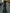 Round Neck Flutter Tulle Sleeve Mermaid Maxi Dress