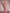 Pink Sequined Mermaid Evening Gown