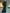 Dark Green Round Neck Chiffon Maxi Dress
