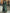 Green Satin V-neck Long Sleeves Maxi Dress