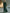 Dark Green Round Neck Chiffon Maxi Dress