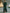 Dark Green Round Neck Chiffon Maxi Dress
