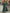 Green Satin V-neck Long Sleeves Maxi Dress