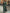 Green Satin V-neck Long Sleeves Maxi Dress