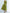 Solid Color V-Neck Bow Midi Dress