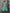 Aqua Green Floral Embroidered High-Low Dress