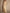 Champagne Pleated A-Line Stretch Satin Maxi Dress