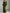 Olive A-Line Long Sleeve Velvet Maxi Dress