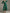 Green Velvet Long Sleeve V-Neck Maxi Dress