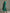 Green Velvet Long Sleeve V-Neck Maxi Dress