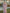 Light Pink V-neck Chiffon Maxi Dress