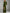 Olive A-Line Long Sleeve Velvet Maxi Dress