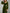 Olive A-Line Long Sleeve Velvet Maxi Dress