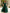 Dark Green Chiffon V-Neck Flutter Sleeves And Fitted Waist Maxi Dress