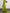 Yellow-green Sleeveless Maxi Dress
