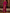 Rose Red Party Dance Maxi Dress