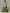 Solid Color A-line Formal Floor-length Long Sleeve Satin Ribbon Bow Maxi Dress