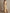 Champagne Silk Short Sleeves  Maxi Dress