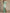 Elegant Eucalyptus Green Cape Sleeve Evening Dress with Lace Details