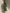 Olive Green Long Sleeved Ruffled Top Maxi Dress
