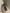 Olive Green Long Sleeved Ruffled Top Maxi Dress