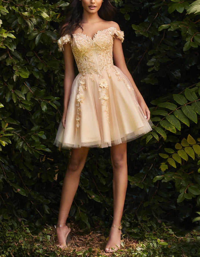 Solid Color Embroidered Lace Off The Shoulder Mini Dress