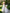 White High Collar Halter Neck Bridesmaid Dress