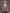 A-line Satin Removable Mesh Shawl Midi Dress