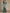Green A-line Lace And Stretch Chiffon Dress Maxi Dress