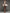 Brown Satin Strapschampagne Satin Shoulder Strap With Diamonds Mini Dress