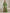 Green V-neck Satin 3D Flowers Maxi Dress
