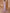 One Shoulder Solid Color Maxi Dress