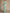 Elegant Eucalyptus Green Cape Sleeve Evening Dress with Lace Details