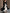 Black Contrast Stitching Long Sleeves Maxi Dress