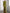 A-line Long-sleeved Shirt Collar With Elastic Satin Shoulder Flowers Maxi Dress
