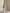 Graceful Mint Green Chiffon Gown with Ruffled Sleeves and Draped Skirt