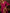 Rose Red Party Dance Maxi Dress