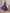 Romantic Pleated Chiffon Midi Dress with Floral Waist