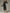 Square Neck Satin Long Sleeves Tights Midi Dress