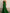 One Shoulder Pleated Solid Color Maxi Dress