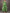 Deep V Neck Green Floral Long Sleeve Midi Dress